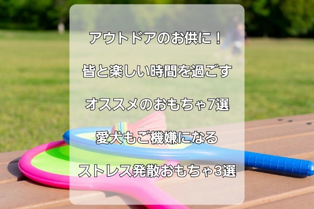 みんなで遊べるオススメのアウトドア玩具7選！自然の中で笑顔あふれる休日を！